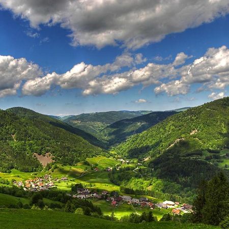 Urlaub Auf 1.000 Meter Hoehe Mit Pool Und Sauna Schönwald Luaran gambar