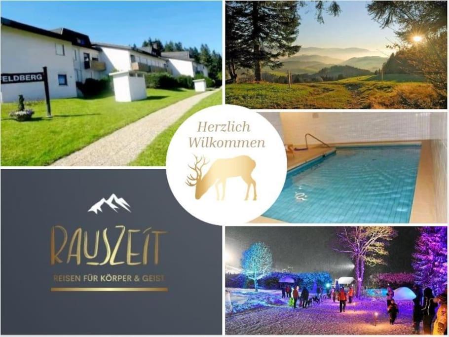 Urlaub Auf 1.000 Meter Hoehe Mit Pool Und Sauna Schönwald Luaran gambar