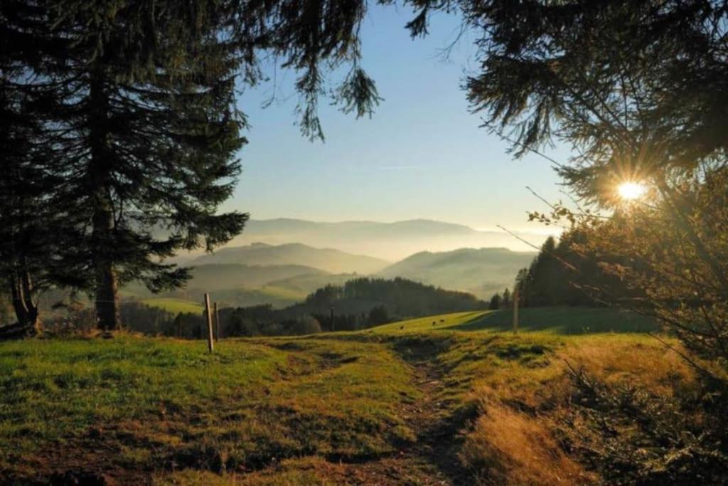 Urlaub Auf 1.000 Meter Hoehe Mit Pool Und Sauna Schönwald Luaran gambar