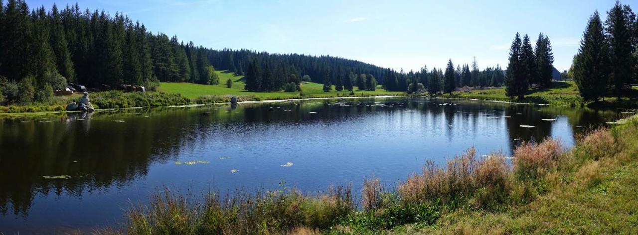 Urlaub Auf 1.000 Meter Hoehe Mit Pool Und Sauna Schönwald Luaran gambar