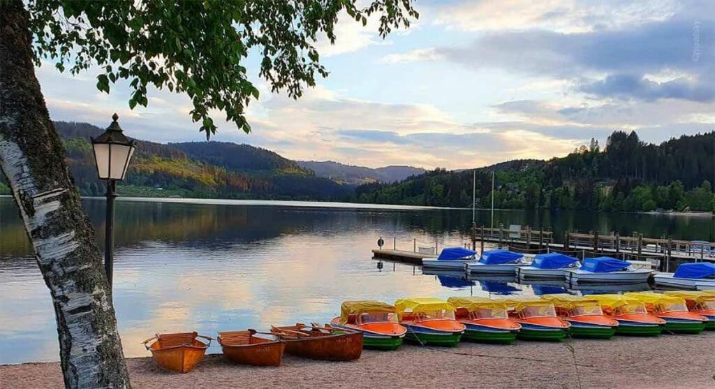 Urlaub Auf 1.000 Meter Hoehe Mit Pool Und Sauna Schönwald Luaran gambar