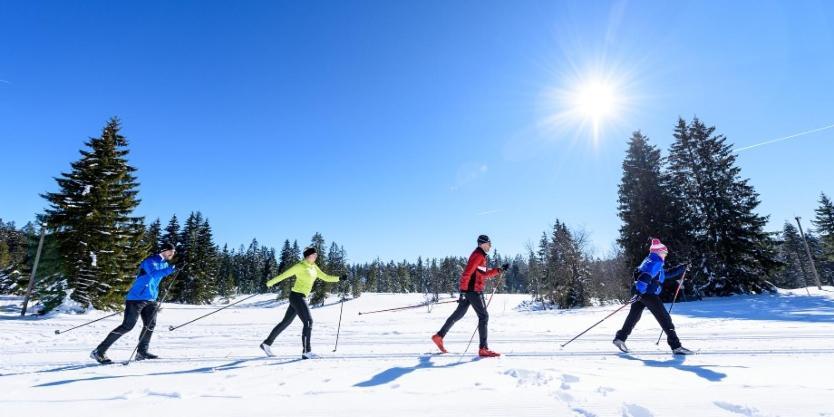 Urlaub Auf 1.000 Meter Hoehe Mit Pool Und Sauna Schönwald Luaran gambar