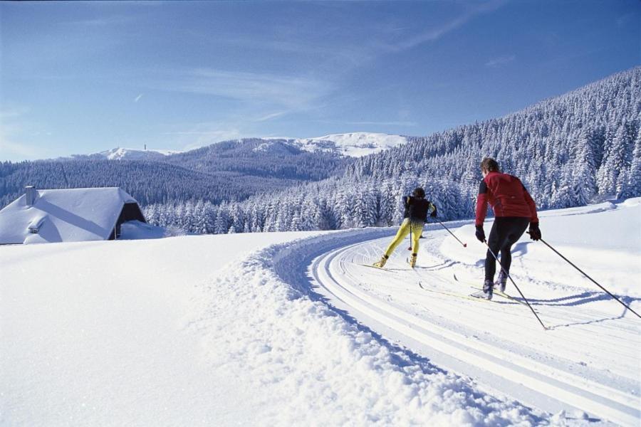 Urlaub Auf 1.000 Meter Hoehe Mit Pool Und Sauna Schönwald Luaran gambar