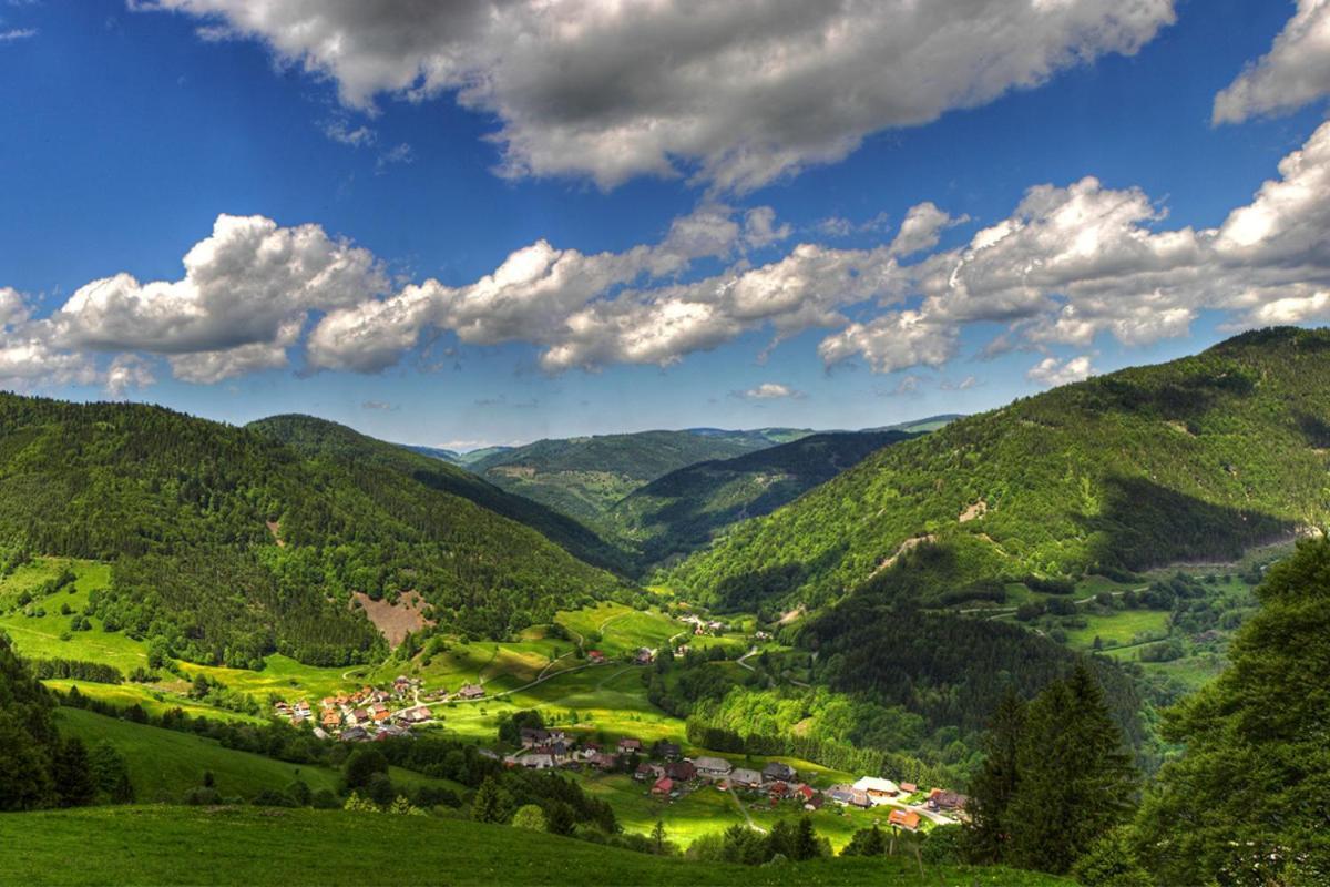 Urlaub Auf 1.000 Meter Hoehe Mit Pool Und Sauna Schönwald Luaran gambar